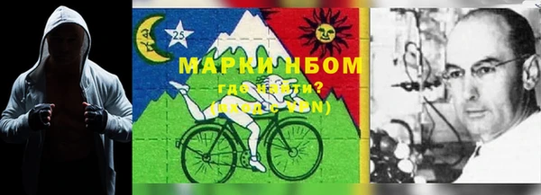 дживик Богородицк