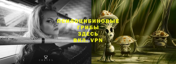 стафф Белоозёрский